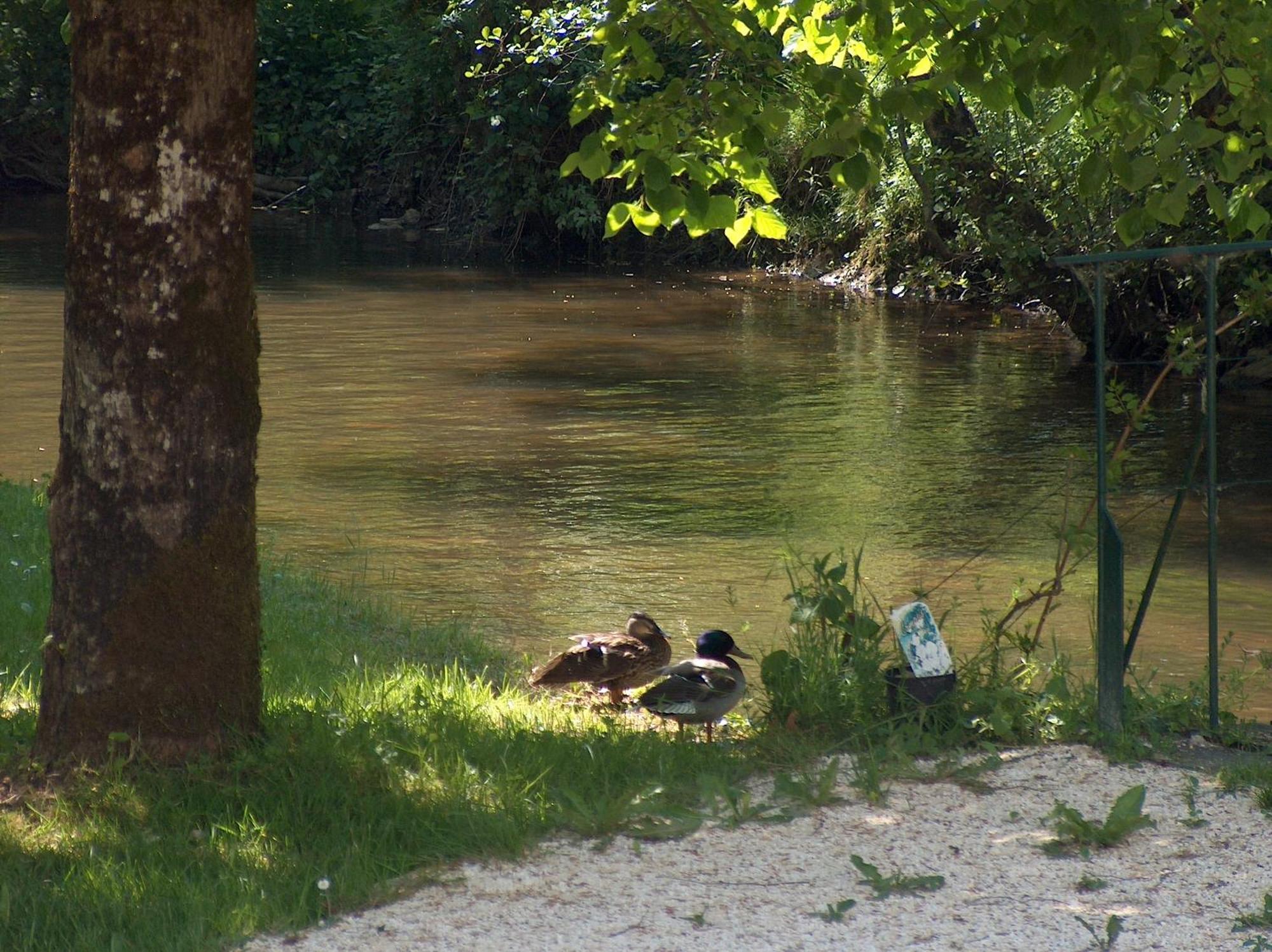 ホテル Moulin De Vigonac Valeuil エクステリア 写真